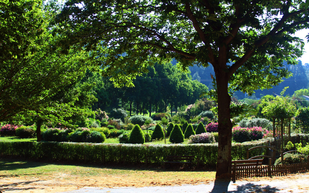 Plantations de juillet