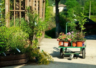 Acquérir ses fleurs et plantes en Cévennes