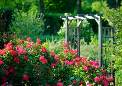 Notre jardin aux mille fleurs