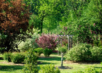 Notre jardin aux mille fleurs