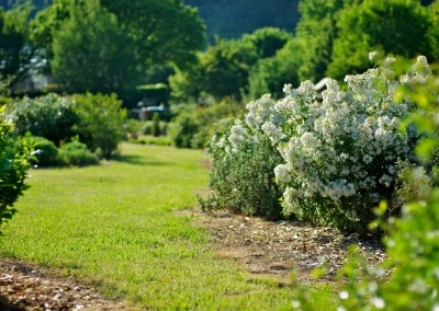 Notre jardin aux mille fleurs