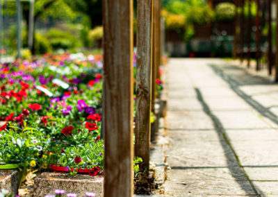 Les petits jardins autour des serres