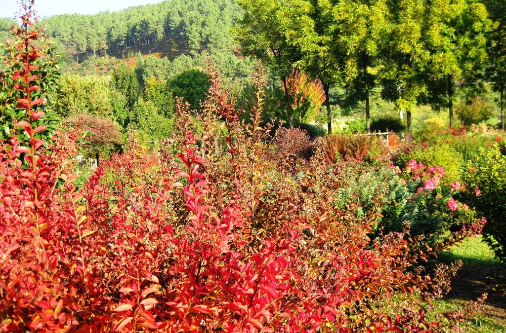 L’automne est enfin arrivé !