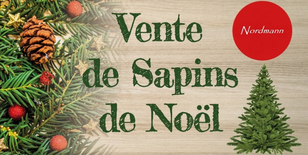 Vente de sapins de Noël Nordmann