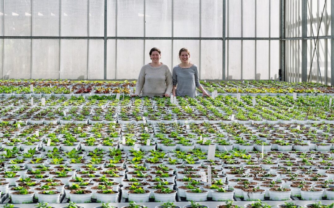 🌷 Nous sommes ouverts jusqu&rsquo;au samedi 8 août 2026.